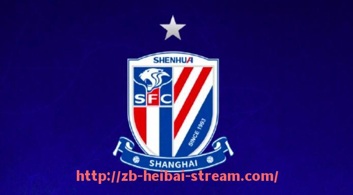 黑白体育直播-足球比赛的基本规则有哪些细节值得关注？（足球比赛基本规则介绍）