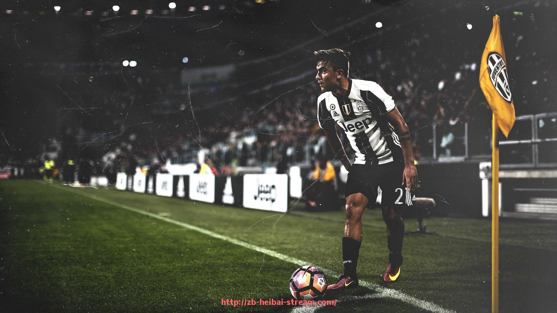 黑白体育直播-广州卖健身器材：广州地区健身器材销售门店与品牌推荐